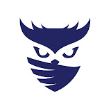 Raid Owl